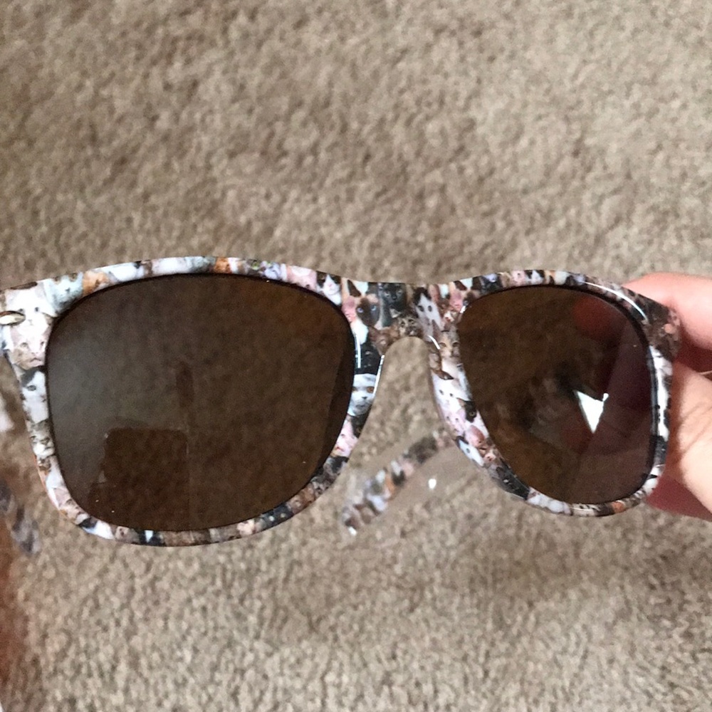 Cat sunglasses